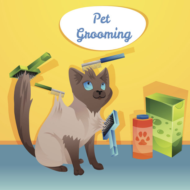 猫的性格在新郎沙龙图片下载