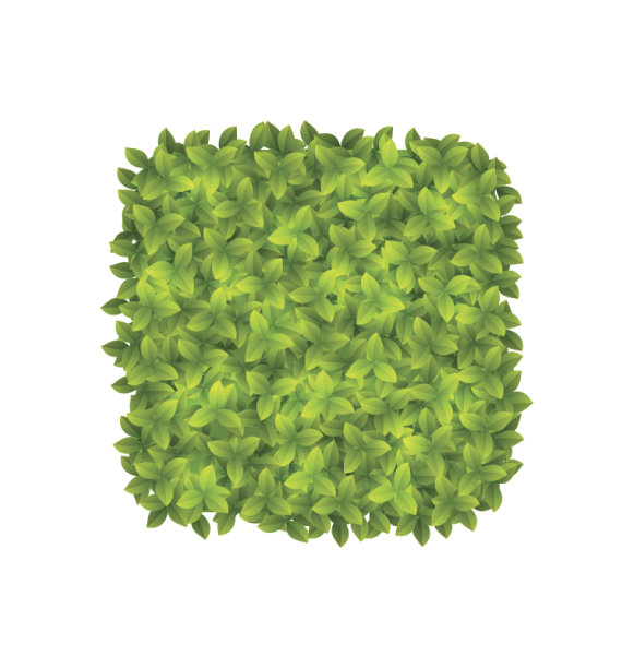 绿色树叶制造的环保标签，图片下载