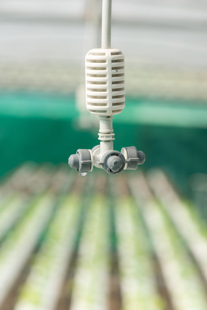 蔬菜水培园浇水系统的研究图片下载