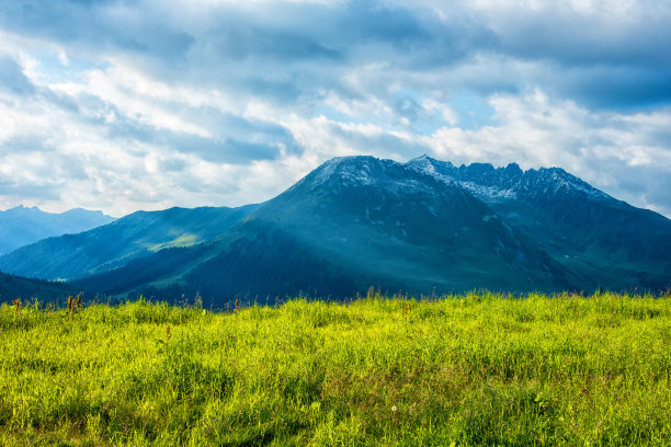 高山草甸图片下载