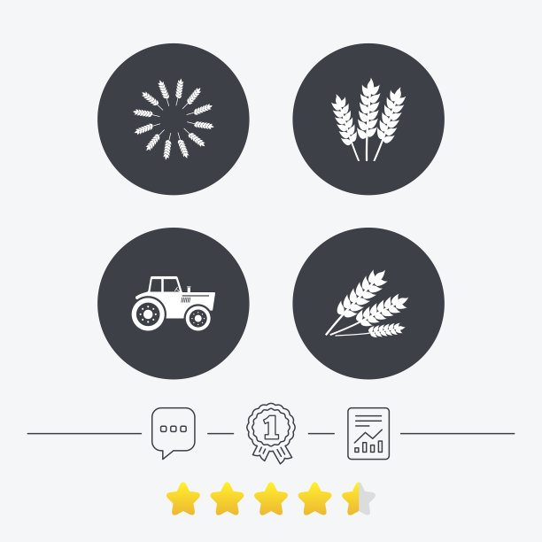 农业的图标。小麦，玉米或无谷蛋白。图片下载