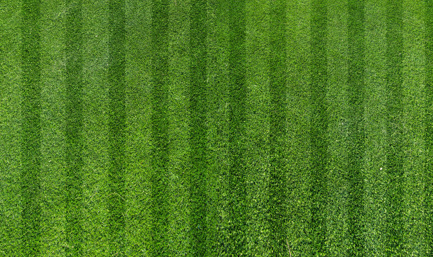 绿草的地盘图片下载