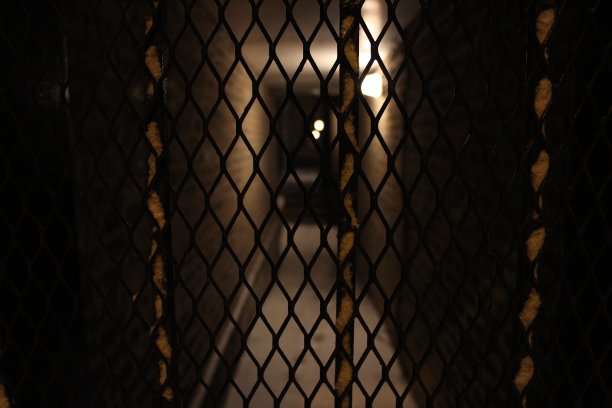 夜之歌图片下载