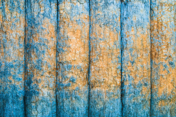 老水泥墙变成了树的背景图片下载