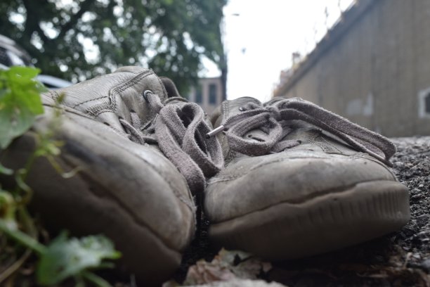 消失却未忘记图片下载