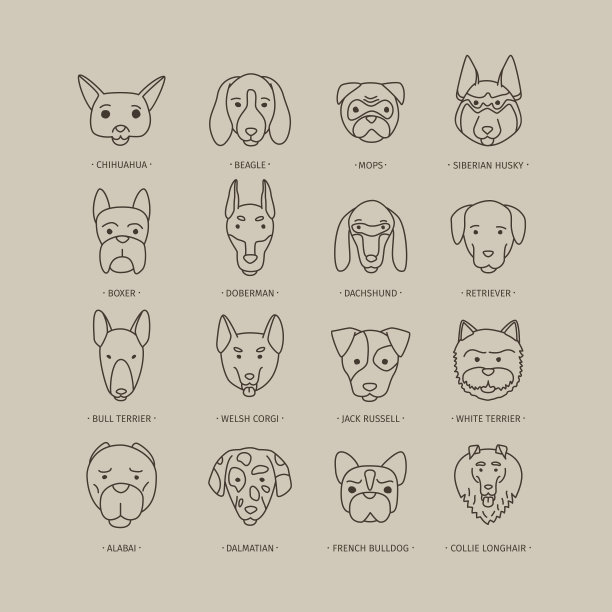 狗和小狗的头设置图片下载