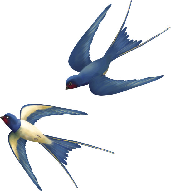 向量会飞的燕子图片下载