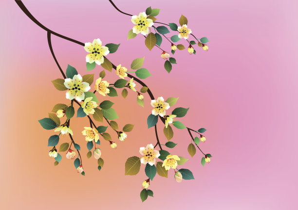 傍晚在花园里盛开的樱桃图片下载