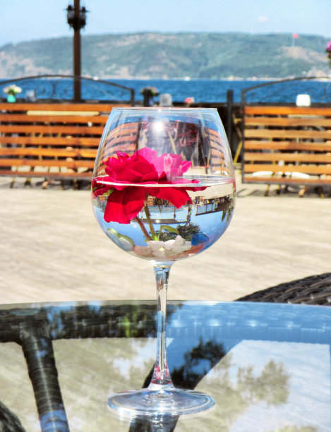 玻璃与玫瑰在水-特写图片下载