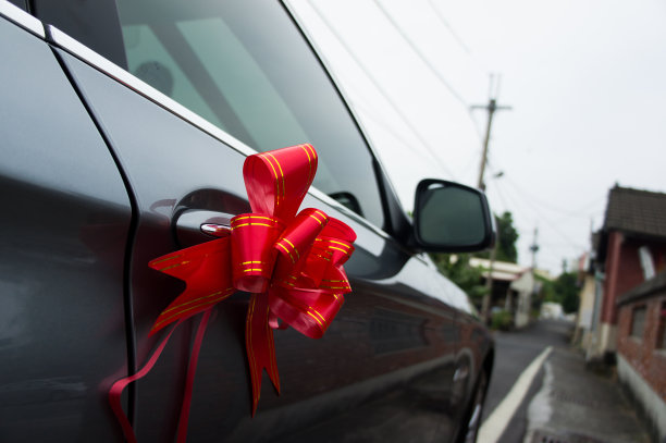 蝴蝶结图片素材ID：121729828