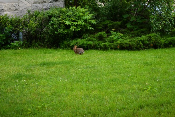 寻找封面图片下载