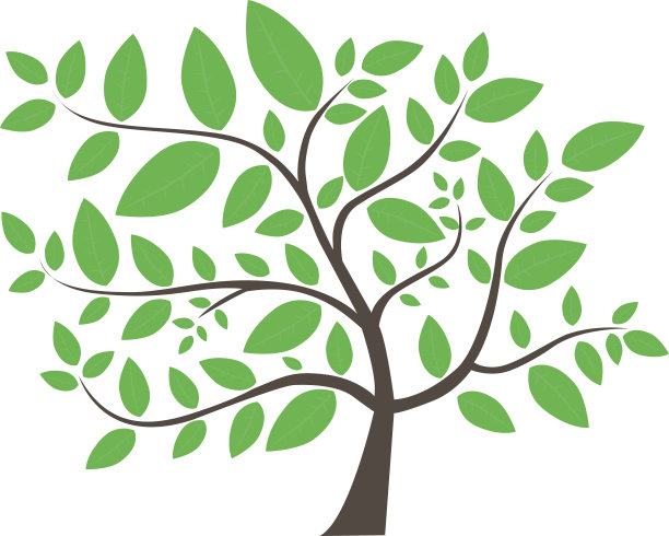 树,叶子,植物,森林图片下载