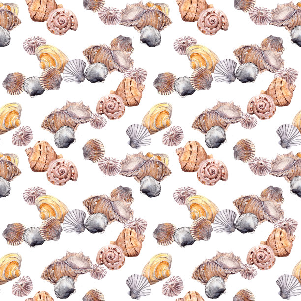无缝海贝图案上的白色背景。水彩图片下载