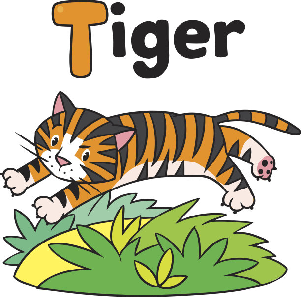 有趣的野生老虎，ABC。字母T素材图片