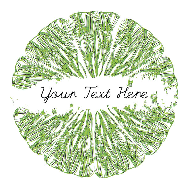 柑橘类的水果口感。素描框架。墨水笔。柠檬片。向量图片下载