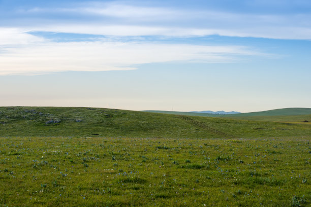 草原图片下载