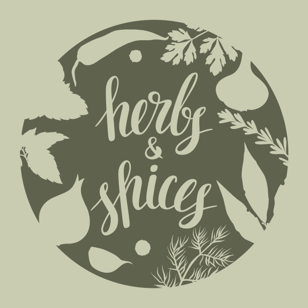 背景设计与各种香草和香料图片下载