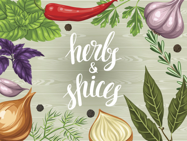 背景设计与各种香草和香料图片下载