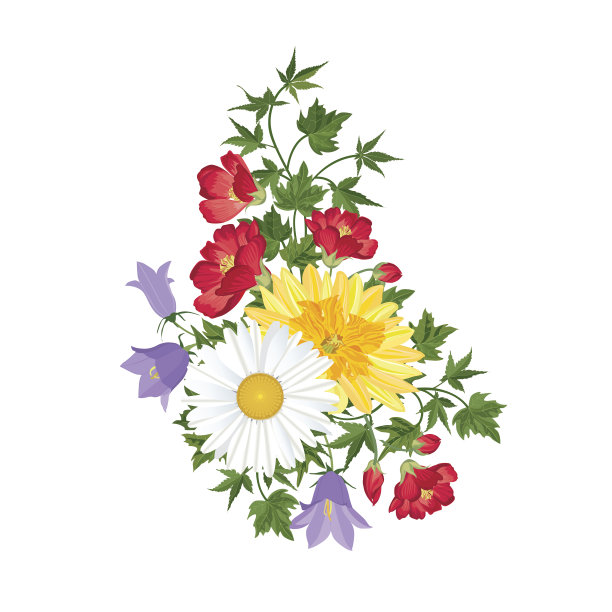 鲜花花束。花的框架。繁荣贺卡。图片下载