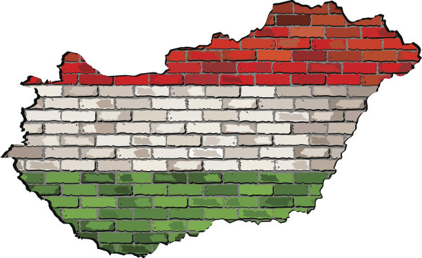 一堵砖墙上的奥地利地图图片下载