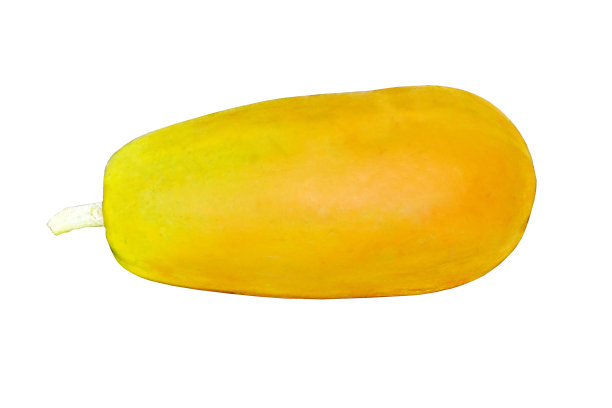新鲜的黄色木瓜在白色的背景图片下载