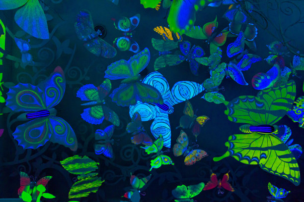 装饰蝴蝶图片下载