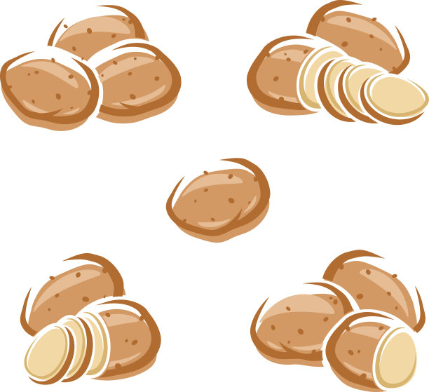 土豆。向量图片下载