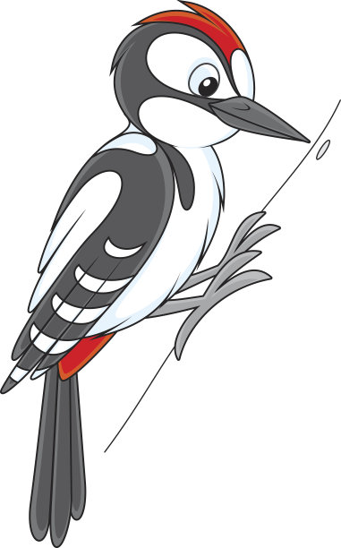 啄木鸟图片下载