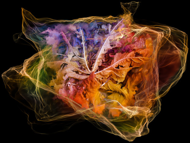 心粒子范式图片下载