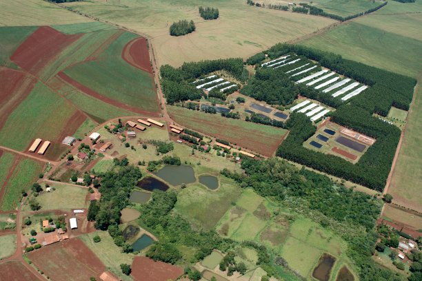 巴西南部的农业和林业生产财团图片下载