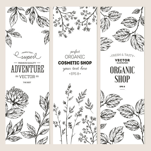 植物横幅集合。有机化妆品。矢量图图片下载
