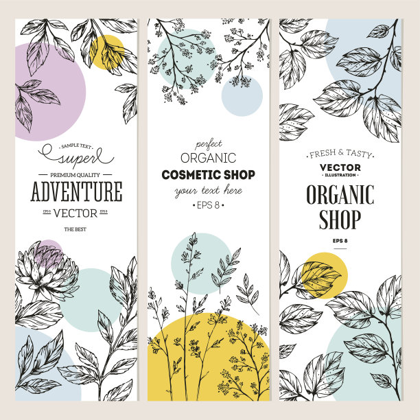 植物横幅集合。有机化妆品。矢量图图片下载