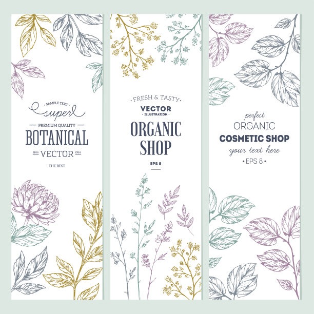 植物横幅集合。有机化妆品。矢量图图片下载