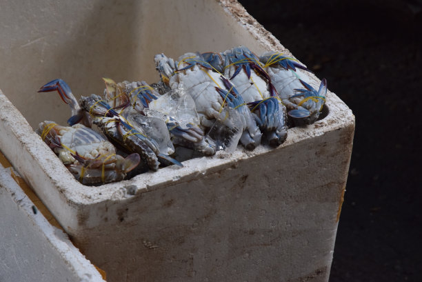 柬埔寨市场的蓝蟹图片下载