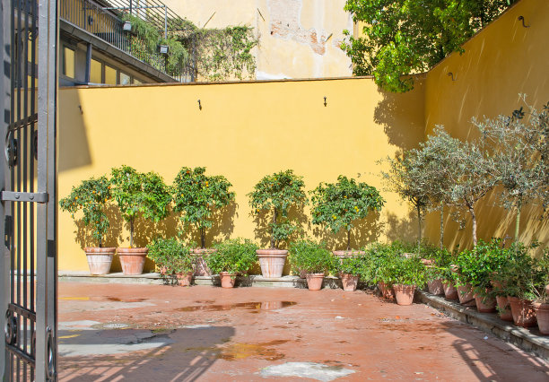 私家花园图片下载