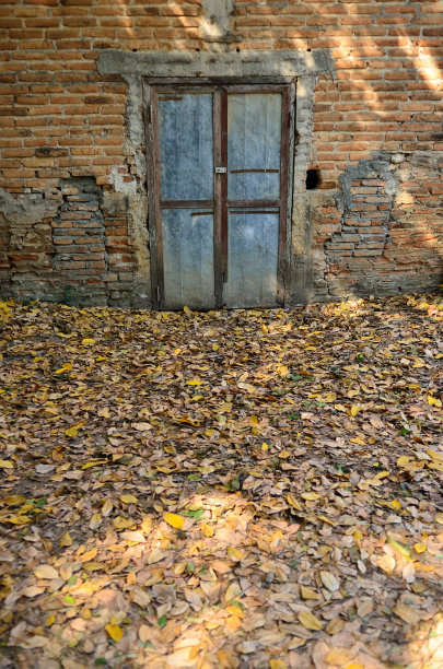 砖墙和旧门图片下载