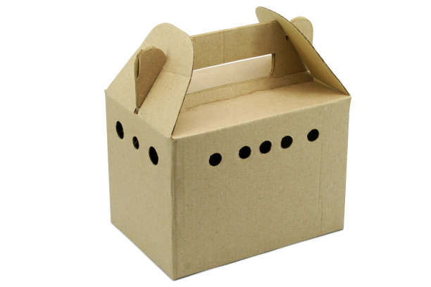 纸板箱的宠物与隔离在白色图片下载