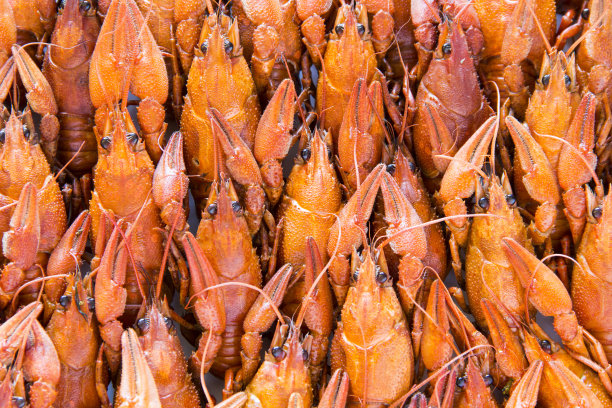 许多小龙虾图片下载