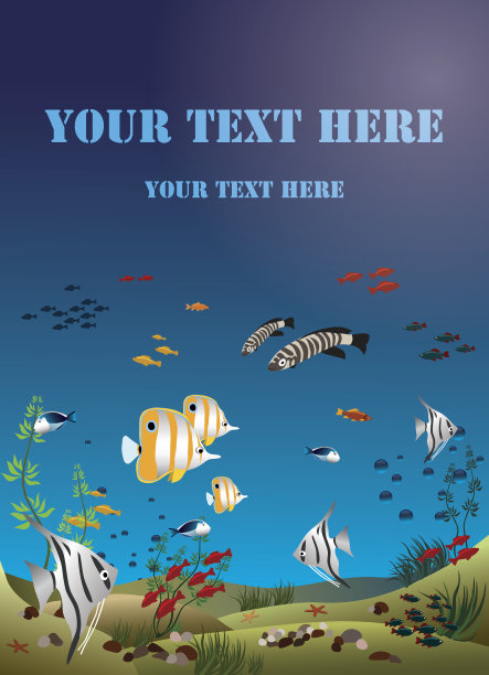 海底热带鱼的小叶宽度图片下载