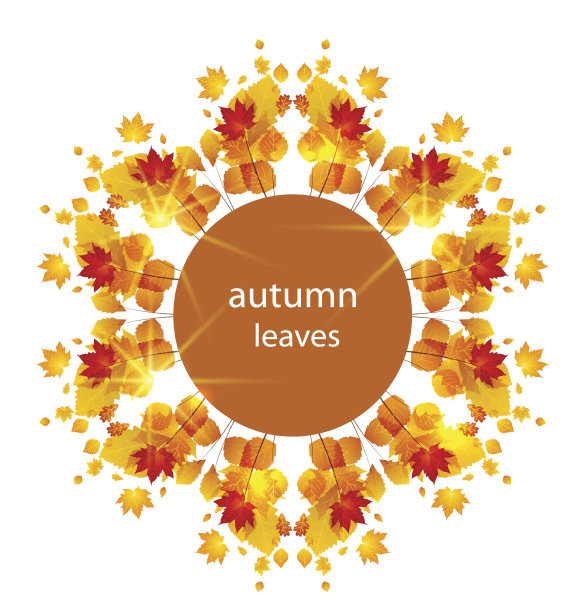 秋天的落叶图片下载