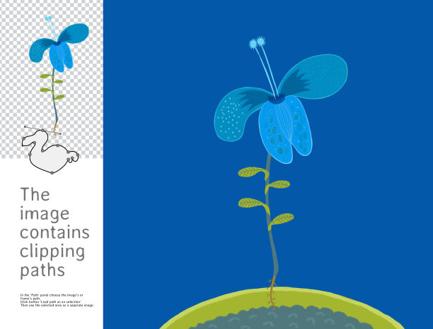 花,渡渡鸟集合图片下载