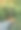 阳光在树林里图片下载
