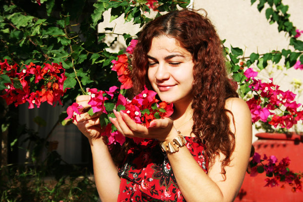 女人花图片下载