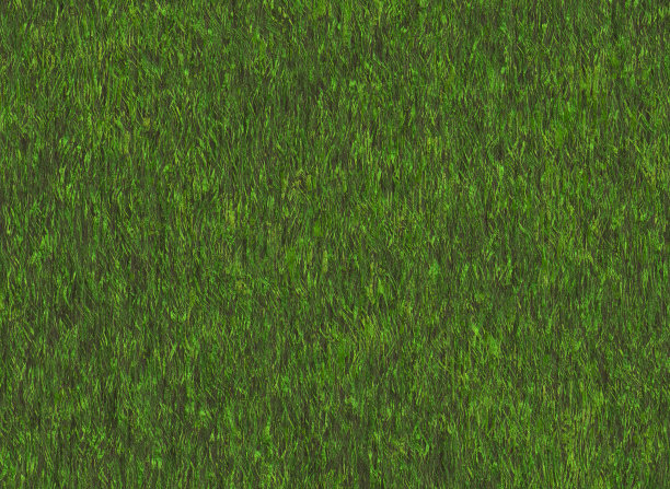 草甸苍翠草质。壁纸图案图片下载