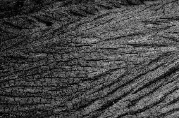 木质的自然背景图片下载