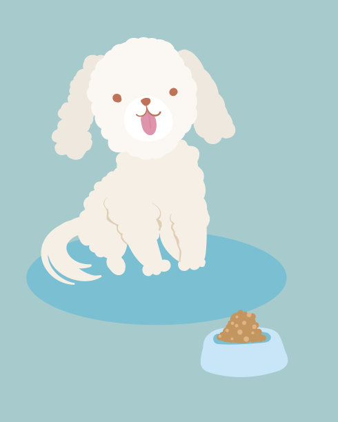 白色狮子狗微笑和他的食物碗图片下载