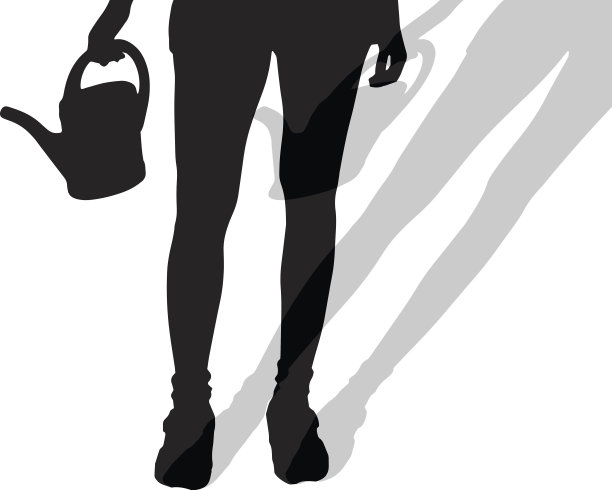 女性脚的矢量剪影。图片下载