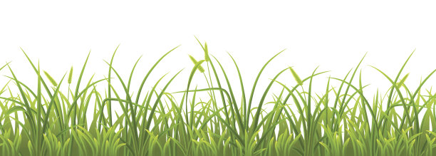 无缝春绿草图片下载