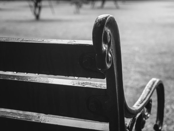 花园中老式长椅的近景图片下载