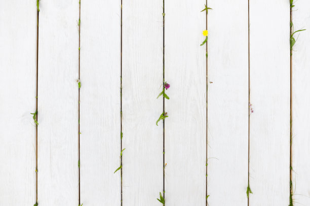 白色木质背景与自然的动机，空虚图片下载